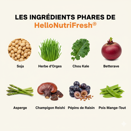 Nutrifresh® – Smoothie Lyophilisé Multifruits | Encas Équilibré en 30 Secondes
